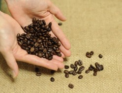 コーヒー豆の保管と鮮度